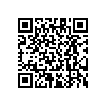RT1206DRD07160RL QRCode