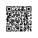 RT1206DRD0716K2L QRCode