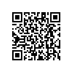 RT1206DRD0716R5L QRCode