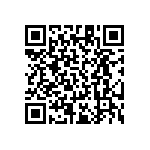 RT1206DRD07174KL QRCode