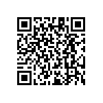 RT1206DRD0719K1L QRCode