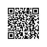 RT1206DRD071K13L QRCode