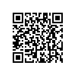 RT1206DRD071K27L QRCode
