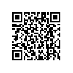 RT1206DRD071K91L QRCode