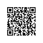 RT1206DRD07221RL QRCode