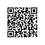 RT1206DRD0724R3L QRCode