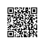 RT1206DRD0724R9L QRCode