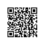 RT1206DRD0727K4L QRCode