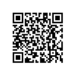 RT1206DRD07280KL QRCode