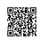 RT1206DRD0733R2L QRCode