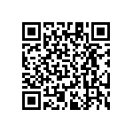 RT1206DRD073K48L QRCode