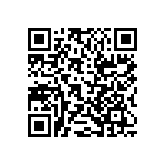 RT1206DRD073K9L QRCode