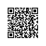 RT1206DRD0742R2L QRCode