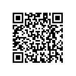 RT1206DRD0743RL QRCode