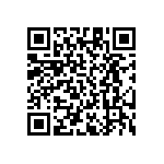 RT1206DRD07487KL QRCode