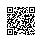 RT1206DRD074K3L QRCode