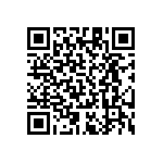 RT1206DRD07510RL QRCode