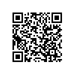 RT1206DRD0762RL QRCode