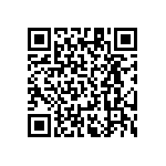 RT1206DRD0764R9L QRCode