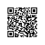 RT1206DRD076K2L QRCode