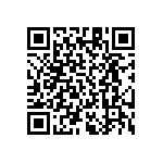 RT1206DRD07787KL QRCode