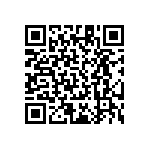 RT1206DRD07820RL QRCode