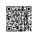 RT1206DRD07825KL QRCode