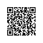 RT1206DRE07101KL QRCode