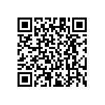 RT1206DRE07124KL QRCode