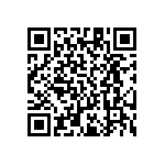 RT1206DRE071K65L QRCode
