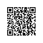 RT1206DRE0726K1L QRCode