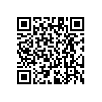 RT1206DRE07294KL QRCode