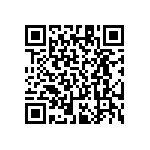 RT1206DRE072K21L QRCode
