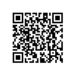 RT1206DRE072K87L QRCode