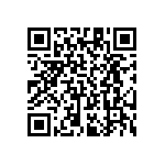 RT1206DRE073K32L QRCode