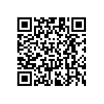 RT1206DRE073K6L QRCode