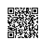 RT1206DRE0749K9L QRCode