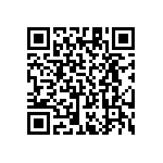 RT1206DRE074K32L QRCode