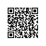 RT1206DRE076K04L QRCode