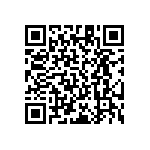 RT1206DRE07887RL QRCode