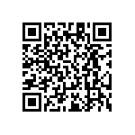 RT1206FRD0719R1L QRCode