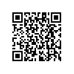 RT1206FRD07383KL QRCode