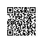 RT1206FRD0741K2L QRCode