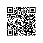 RT1206FRD0768KL QRCode