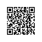 RT1206FRD077K32L QRCode