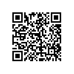 RT1206FRD079K31L QRCode