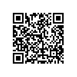 RT1206FRE07137KL QRCode