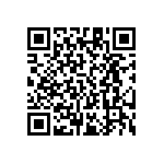 RT1206FRE0716K5L QRCode