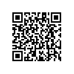 RT1206FRE071K24L QRCode