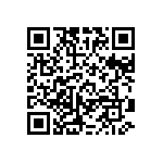 RT1206FRE071K33L QRCode
